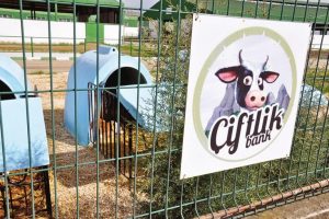 &Ccedil;iftlik Bank'ın ardından 20 şirketin banka hesabı bloklandı!