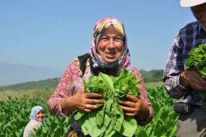 Bursa'da t&uuml;t&uuml;nden 1.2 milyon kazandılar