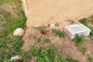 Afyon'da şantaj iddiası cinayetle bitti: 2 &ouml;l&uuml;
