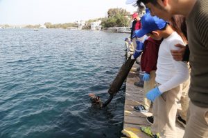 Muğla'da denizden yarım ton atık &ccedil;ıkarıldı