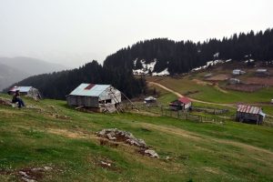 Karadeniz yaylalarında bahar g&uuml;zelliği