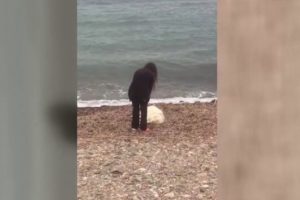 İzmir'de yaralı k&ouml;peği sahile terk ettiler