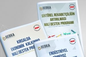 Bursa Eskişehir Bilecik Kalkınma Ajansı'nda 2018 yılı proje başvuruları sona erdi