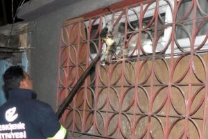 Demir korkuluklara sıkışan kedi i&ccedil;in seferber oldular