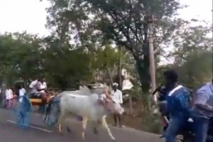 Kameraman canından oluyordu