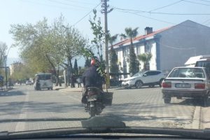 Ağa&ccedil; taşıyan motosikletli kamerada