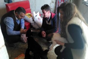 Bursa'nın hayvansever savcısı, 6 yavrusu olan k&ouml;peği elleriyle besledi