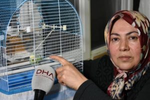 Bu kuş tam 70 kelime konuşuyor!