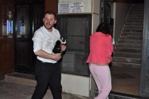 Apartmandaki yangında kedileri itfaiye erleri kurtardı