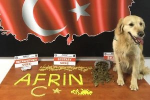 Yolcu otob&uuml;s&uuml;nde uyuşturucu kuryesi yakalandı!