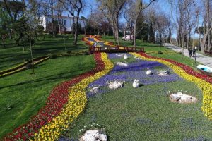 İstanbul'un laleri havadan g&ouml;r&uuml;nt&uuml;lendi