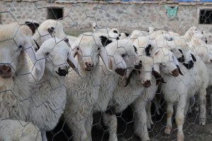 6 bin lira maaşı var ama &ccedil;alışan bulamıyorlar!