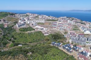 Bursa Mudanya'da zeytinliklere yapılan binlerce konut yıkılabilir