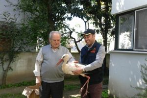 Bursa'da yaralı leyleğe &ouml;ğretmen &ccedil;ift sahip &ccedil;ıktı