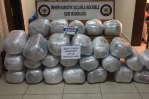 173 kilo esrar ele ge&ccedil;irildi: 1 kişiye g&ouml;zaltı