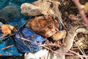 Hakkari kırsalında silah ve m&uuml;himmat ele ge&ccedil;irildi