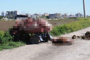Mide bulandıran g&ouml;r&uuml;nt&uuml;! Kesilmiş halde at ve eşek iskeletleri...