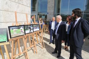 Bursa'da can dostların yaşam m&uuml;cadelesi bu fotoğraflarda