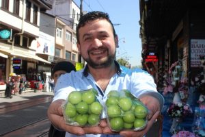 Bursa'da 'yeşil z&uuml;mr&uuml;t' el yakıyor