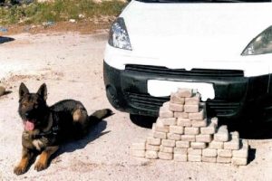 Durdurulan ara&ccedil;ta 11 silah ve uyuşturucu ele ge&ccedil;irildi!