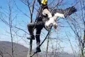 Bursa'da g&ouml;&ccedil; yolunda talihsiz kaza!