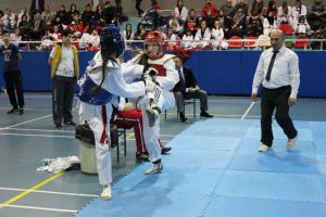 Bursa Osmangazili taekwondoculardan 4 madalya