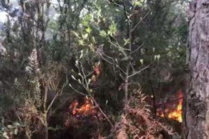 İstanbul Aydos Ormanları'nda yangın &ccedil;ıktı