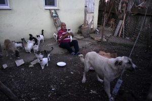 Emekli maaşıyla 25 kedi, 15 k&ouml;pek besliyor