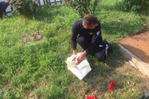 R&ouml;gara d&uuml;şen yavru kediyi itfaiye erleri kurtardı