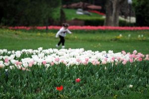 Bursa'da bug&uuml;n ve yarın hava durumu nasıl olacak? (09 Nisan 2018 Pazartesi)