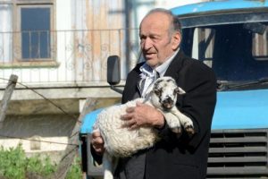 Kuzusunu otomobille taşıdığı i&ccedil;in icralık oldu