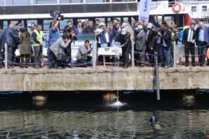 6 bin balık yavrusu K&ouml;rfez'le buluşturuldu