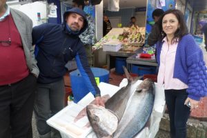 Bursa'da balık&ccedil;ıların ağına 1 metrelik "Akya" takıldı