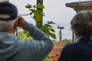 Bursa'nın leylek k&ouml;y&uuml; Eskikaraağa&ccedil; doğaya da &ccedil;ift&ccedil;iye de umut oldu