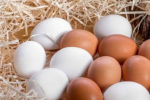 K&ouml;y yumurtası hilesini bitirecek uygulama geliyor