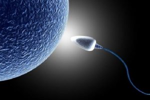 Uzaya Gönderilen Spermler Döllenecek mi?