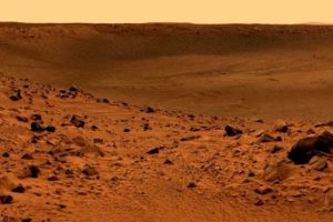 NASA'nın muhteşem "robotik arılar" projesi