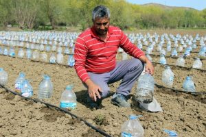 Hurdacıdan aldığı 3 bin pet şişeyle sera yaptı