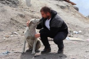 &Ouml;ğrenci ve akademisyenler, sokak hayvanları i&ccedil;in seferber oldu