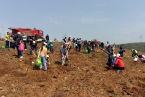 Bursa &Ccedil;imento Kestel'i ağa&ccedil;landırıyor
