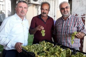 'Yalova incisi' &uuml;z&uuml;mler yola &ccedil;ıktı