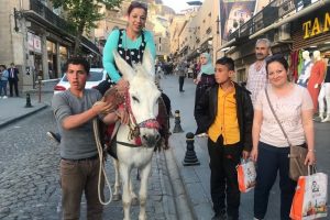 Kadrolu eşekler turizme de hizmet veriyor