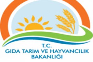 Bakanlık'tan ithal g&uuml;bre a&ccedil;ıklaması