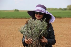 &Ccedil;ift&ccedil;i kadıların yeni g&ouml;zdesi lavanta