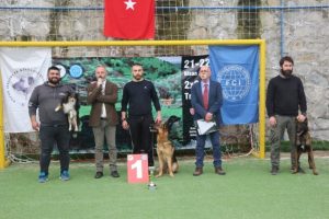 Uluslararası k&ouml;pekler podyumda yarıştı