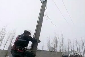 K&ouml;peklerden ka&ccedil;an kedi direkte mahsur kaldı