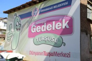 Türkiye'nin turşu üretim merkezi olan Bursa'daki köyde Ramazan mesaisi!