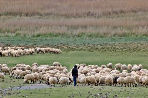 &Uuml;reticileri kuraklık endişesi sardı