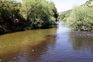 Bakanlıktan 'Gediz Nehri' açıklaması