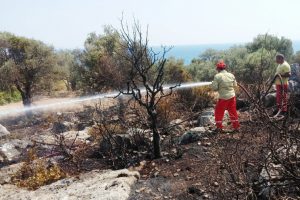 Antalya'da antik kent yakınında çıkan yangın korkuttu